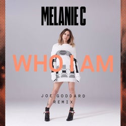 Who I Am (Joe Goddard Remix)
