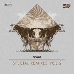 Special Remixes Vol.2