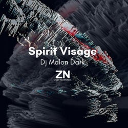 Spirit Visage