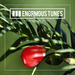 Enormous Tunes - Yearbook 2017