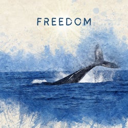 Freedom