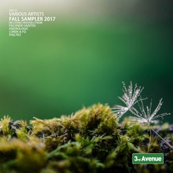 Fall Sampler 2017