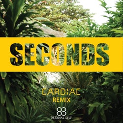Seconds (Cardiac Remix)