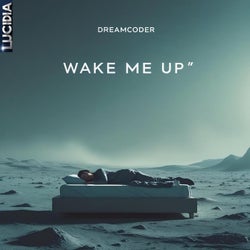 Wake Me Up'
