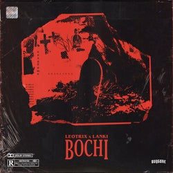 Bochi