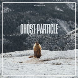 Ghost Particle