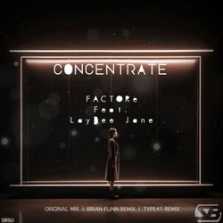 Concentrate (The remixes)