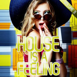 House Is A Feeling Vol. 11