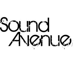 Mitrinique's Sound Avenue January Chart 2013