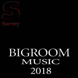 BIGROOM MUSIC ,  2018