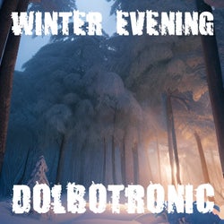 Winter Evening