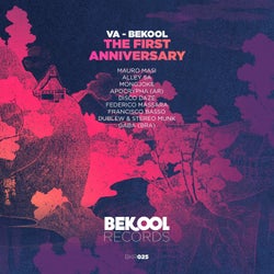 VA - Bekool the First Anniversary