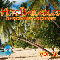 Hits Bailables de Diciembre a Diciembre, Vol. 26