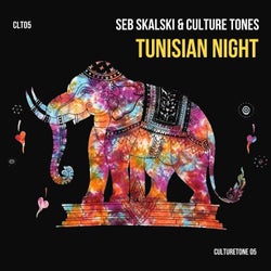 Tunisian Night