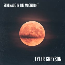 Serenade In the Moonlight