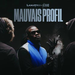 MAUVAIS PROFIL