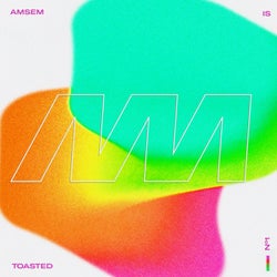 Amsem Is Toasted (Volume 1)