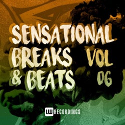 Sensational Breaks & Beats, Vol. 06