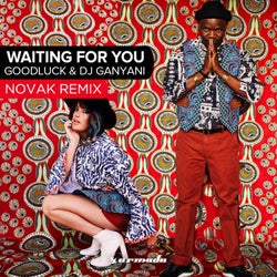 Waiting For You - Novak Remix