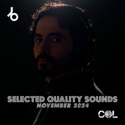 SELECTED QUALITY SOUNDS - NOVEMBER 2024