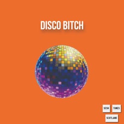 Disco Bitch