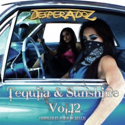 Tequila & Sunshine, Vol.12 (Compiled by Mario De Bellis)