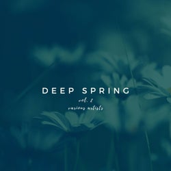 Deep Spring, Vol. 2