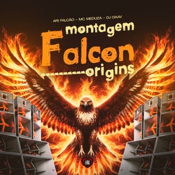 Montagem Falcon Origins