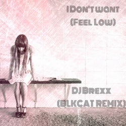 I Don't Want (Feel Low) BlkCat Remix