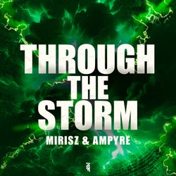 Through The Storm