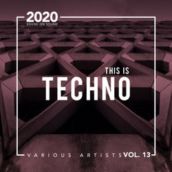 This Is Techno, Vol. 13