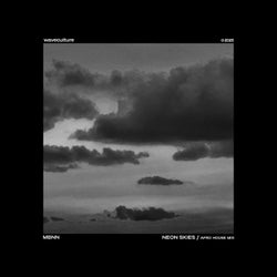 Neon Skies (Afro House Mix)