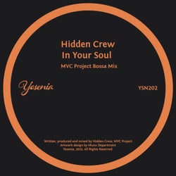In Your Soul (MVC Project Bossa Mix)