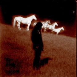 Devil In Dakota