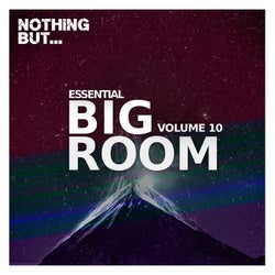 Nothing But... Essential Big Room, Vol. 10