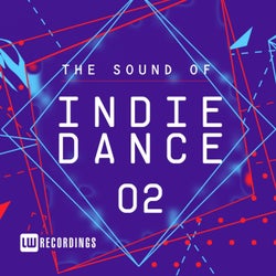 The Sound Of Indie Dance, Vol. 02