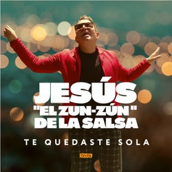 Te Quedaste Sola