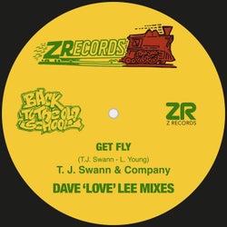Get Fly (Dave 'Love' Lee Mixes)