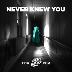 Never Knew You The Albert Harvey Mix