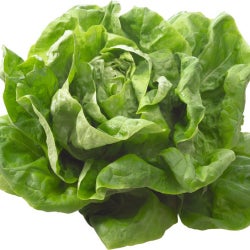 Salat Chartings / NOV 14