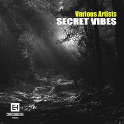 Secret Vibes