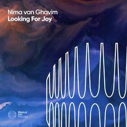 Looking For Joy