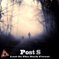 Lost In The Dark Forest