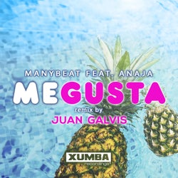 Me Gusta (Remix)