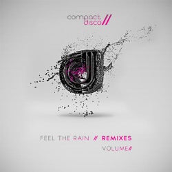 Feel The Rain Remixes Volume 2
