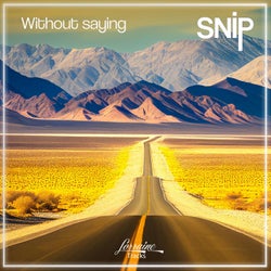 Without Saying (feat. Uli Brodersen & Achim Rafain)