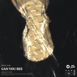 Can You See