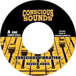 Conscious Vibration / Dub Vibration