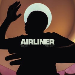 Airliner