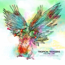 Tropical Bangers, Vol. 1